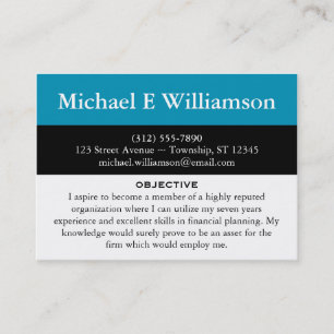 Black Stripe Blue RESUME Business Cards