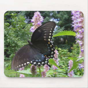 Black Swallowtail 69 ~ mousepad