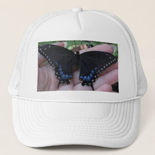 Black Swallowtail Butterfly #1 Hat