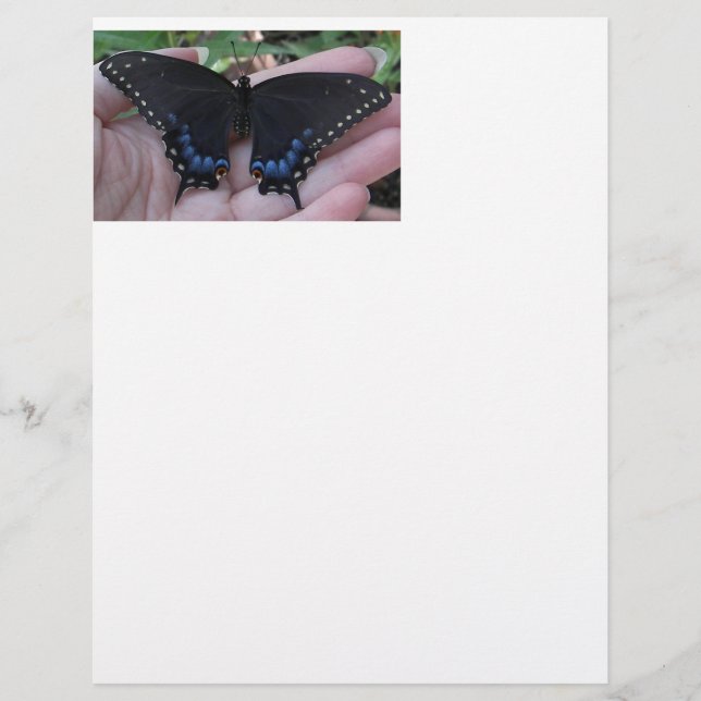 Black Swallowtail Butterfly #1-letterhead (Front)