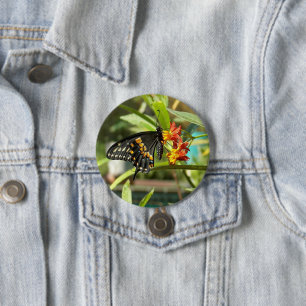 Black Swallowtail Butterfly #2 7.5 Cm Round Badge
