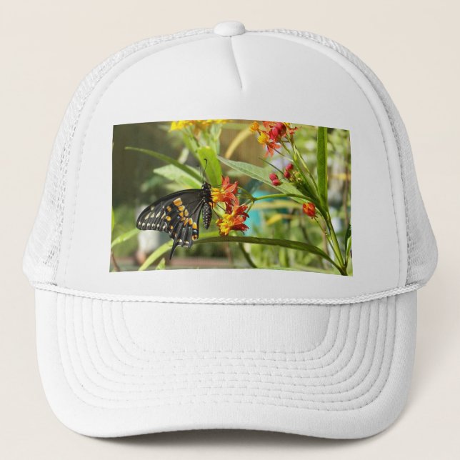 Black Swallowtail Butterfly #2  Trucker Hat (Front)