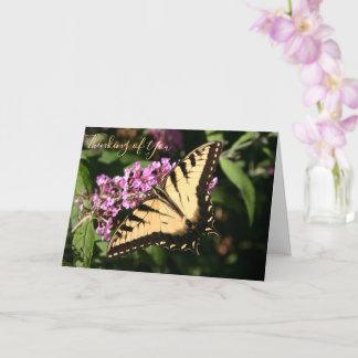 Black Swallowtail Butterfly Card