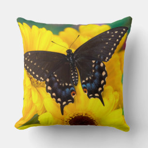 Black Swallowtail butterfly Cushion