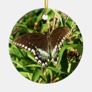 Black Swallowtail Butterfly Nature Photography Ceramic Tree Decoration