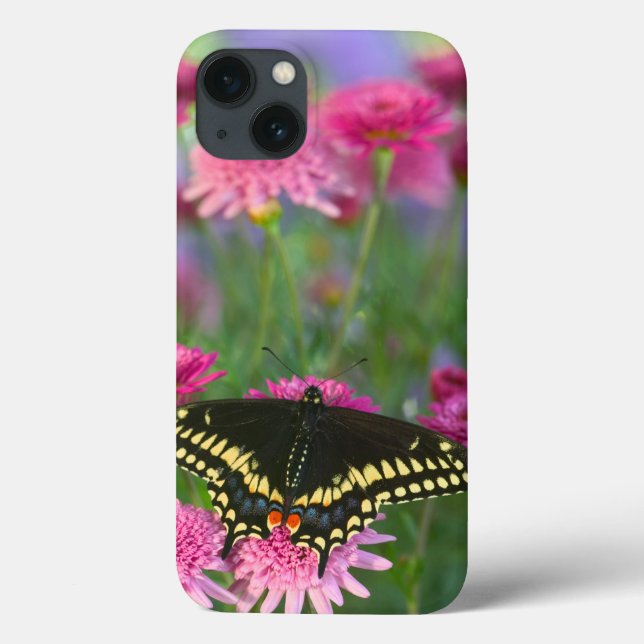 Black Swallowtail Butterfly on Dark Pink Flower Case-Mate iPhone Case (Back)