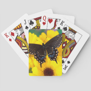 Black Swallowtail butterfly Playing Cards