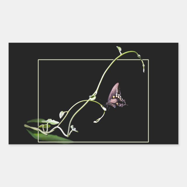 Black swallowtail butterfly rectangular sticker (Front)
