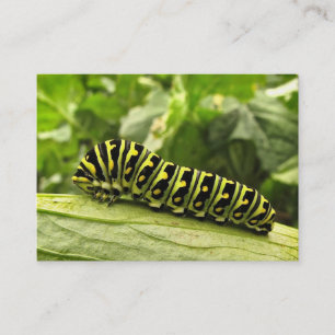 Black Swallowtail Caterpillar ATC Business Card