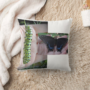 Black Swallowtail Caterpillar/Butterfly Cushion