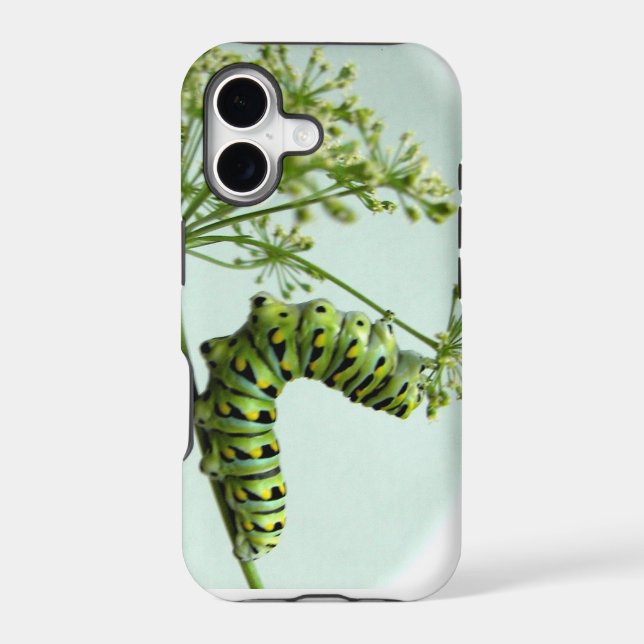 Black Swallowtail Caterpillar eating parsley (Back)