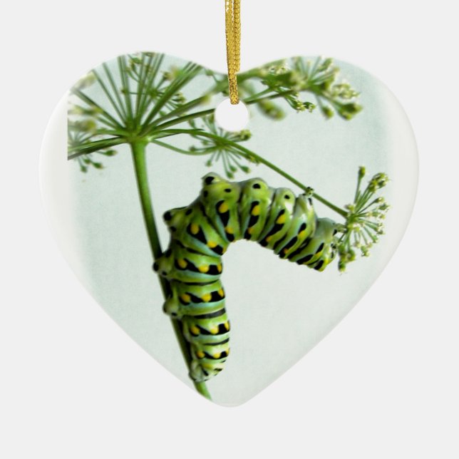Black Swallowtail Caterpillar eating parsley Ceramic Tree Decoration (Front)
