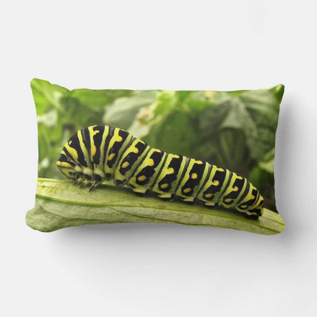 Black Swallowtail Caterpillar Lumbar Cushion (Front)