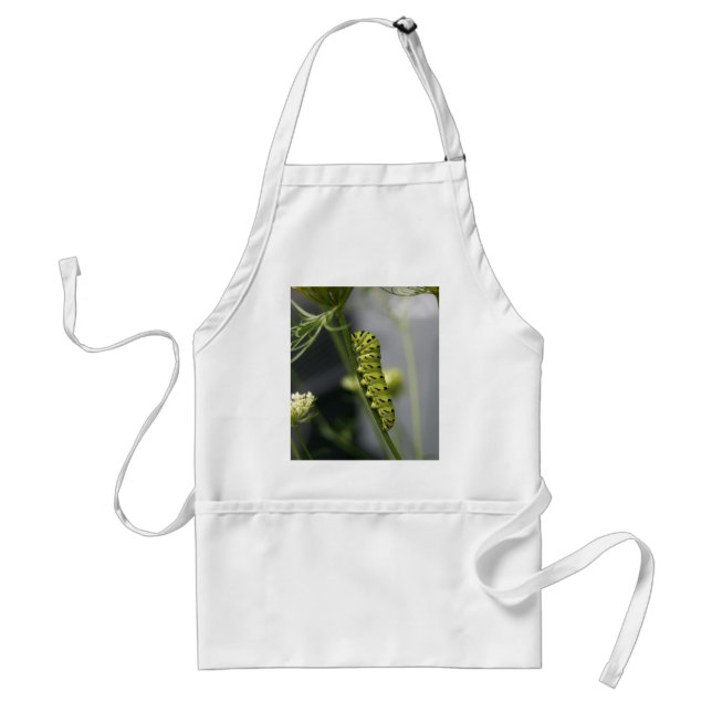Black swallowtail caterpillar (parsleyworm) on Dil Standard Apron (Front)