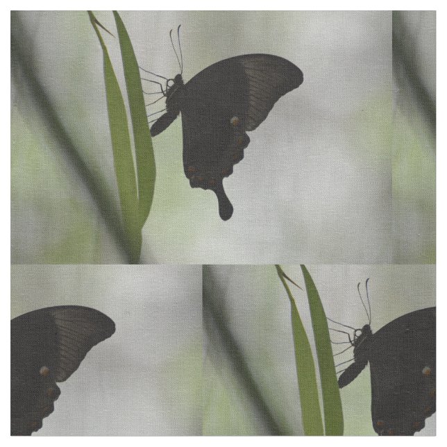 Black Swallowtail Fabric (Close Up)
