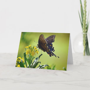 Black Swallowtail Scripture Card Psalm 119:103