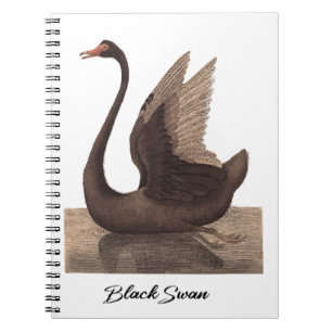Black Swan 1792 Notebook