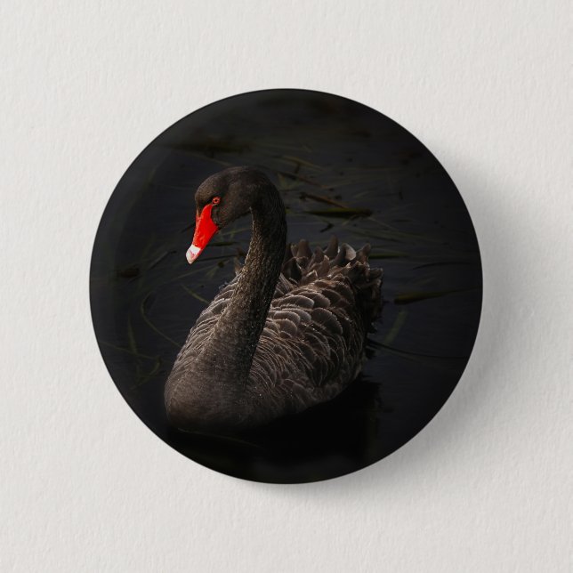 Black Swan 6 Cm Round Badge (Front)