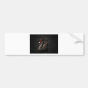 Black Swan Bumper Sticker