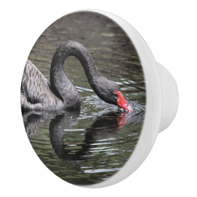 Black Swan Ceramic Knob (Right)