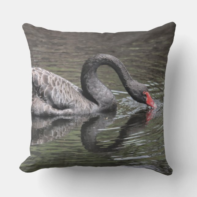 Black Swan Cushion (Front)