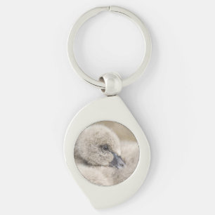 Black Swan Cygnet Key Ring