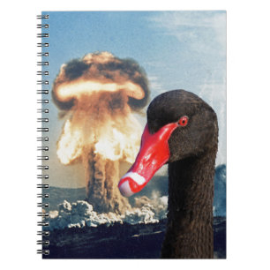 Black Swan Disaster Notebook