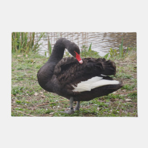Black Swan Door Mat
