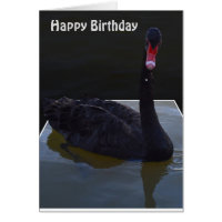 Black Swan Droplets In Pond, Birthday Card