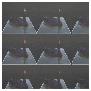 Black Swan, Droplets In The Pond, Fabric