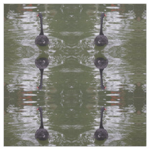 Black Swan Fabric