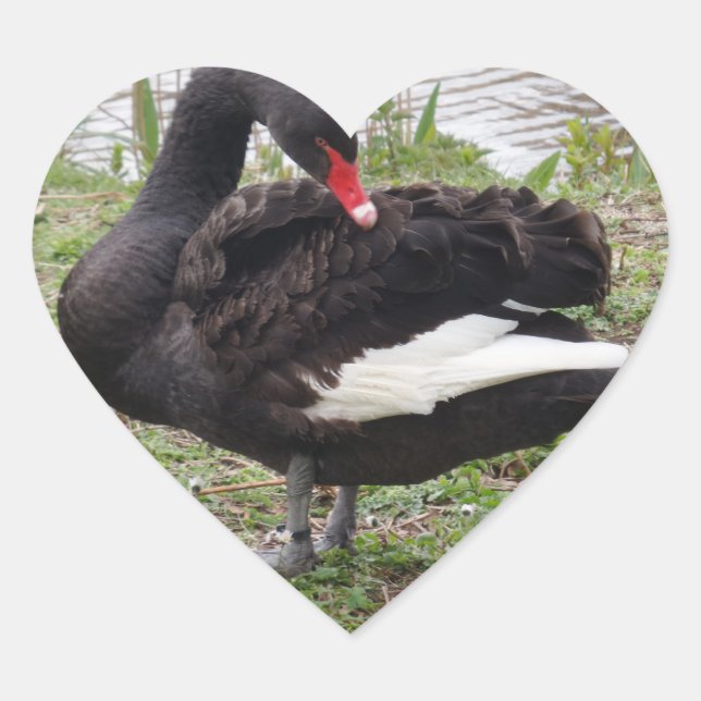 Black Swan Heart Sticker (Front)