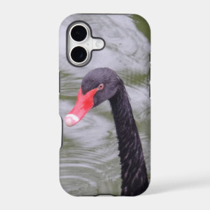Black Swan iPhone 5/5S, Barely There