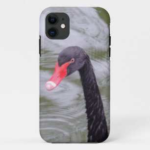 Black Swan iPhone 5/5S, Barely There 11 Case