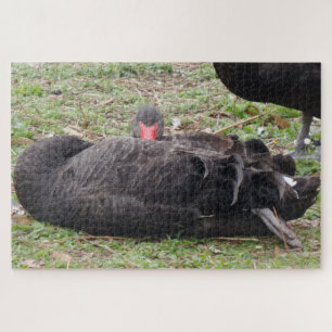Black Swan Jigsaw Puzzle