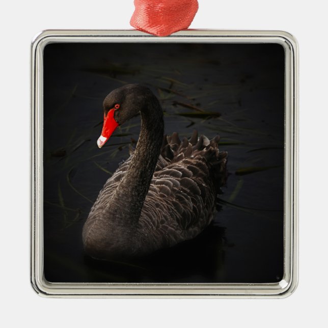 Black Swan Metal Tree Decoration (Front)