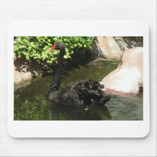Black Swan Mouse Pad