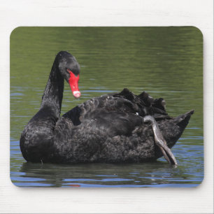 Black Swan Mouse Pad