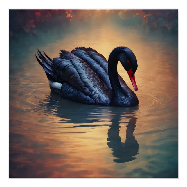 Black Swan no 4 Glossy Poster (Front)