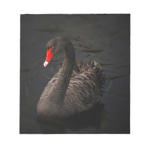Black Swan Notepad