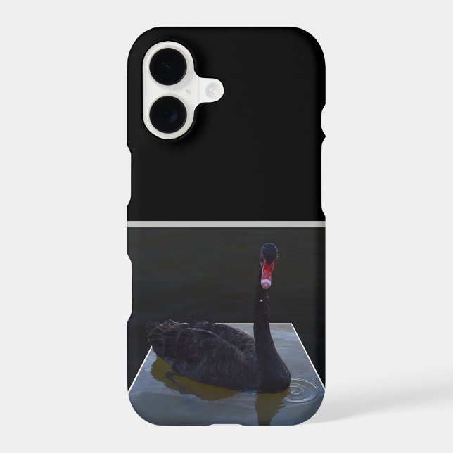 Black Swan Swimming In Dimensional Pond, (Back)