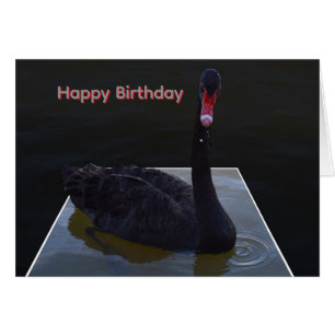 Black Swan Swimming In Dimensional Pond,