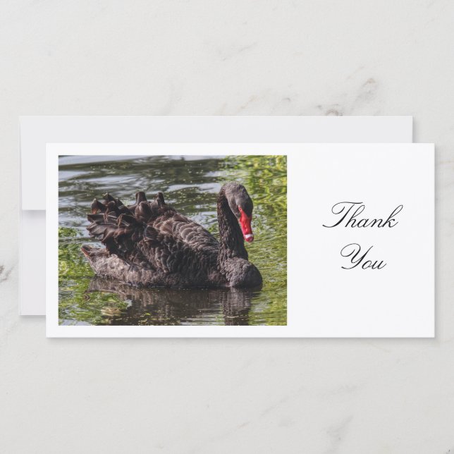 Black Swan - Thank You (Front)
