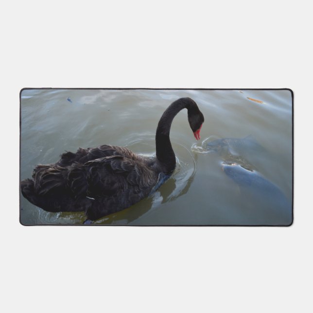 Black Swan Watching Giant Fish In River, Desk Mat (Front)