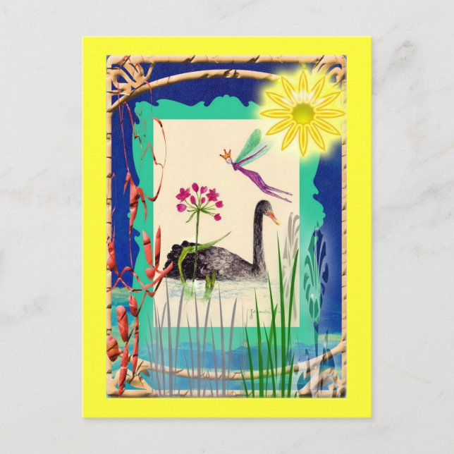 black swan with sun postcard (Front)