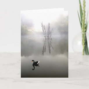 "Black Swan With White Feather" Card