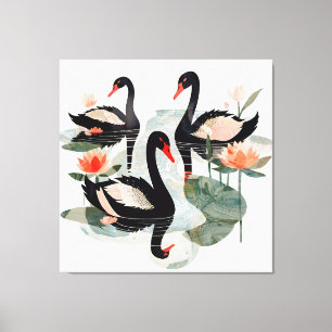 Black Swans Canvas Print