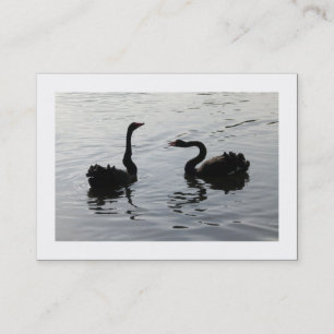Black Swans Greeting (Bordered) Business Card