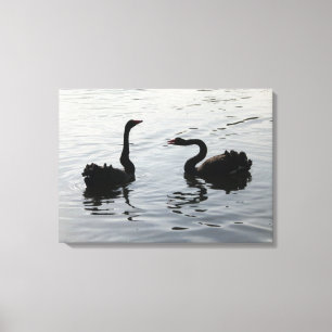 Black Swans Greeting Canvas Print