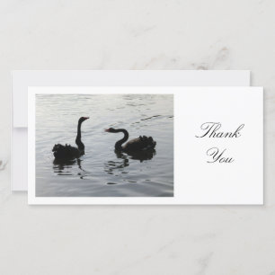 Black Swans Greeting - Thank You